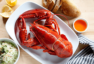 Boiled lobsters dish with bread and slaw